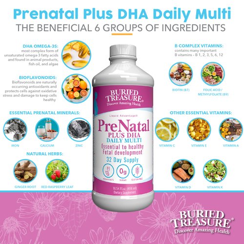 Buried Treasure Prenatal Plus DHA Complete, 16 oz, Natural DHA Omega3 Iron