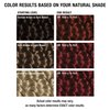 All About Curls 5R Red-y to Roll Permanent Hair Color (Prep + Protect Serum & Hair Dye for Curly Hair) - 100% Grey Coverage, Nourished & Radiant Curls