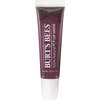 Burt's Bees Lip Shine, Smooch [060] 0.5 oz (Pack of 6)