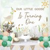 One Silly Goose 1st Birthday Decorations Farm Animal Themed Backdrop Duck Floral Birthday Banner Farm Duck Cupcake Topper Latex Balloons for Kids Boys Girls First Birthday Supplies (Green)