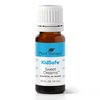 Plant Therapy KidSafe Sweet Dreams Essential Oil Blend 10 mL (1/3 oz) 100% Pure, Undilated, Therapeutic Grade