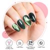 AIMEILI Cat Eye Gel Nail Polish Soak Off U V LED Hema Free Cruelty Free Vegan Gel Polish Colors for Nail Art DIY Gel Nail Manicure 756