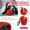 Petsylvania Dog chew Toys - Interactive & Durable Dog Toy for Engaging Playtime - Perfect for Puppies & Small Dogs – Rubber Dog Toy (Red)