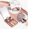 LOLI POP Travel Makeup Brush Set Foundation Powder Concealers Eye Shadows Makeup Set with LED light Mirror 14 Pcs Mini Makeup Brushes (APINK)