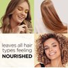 Hair Food Sulfate Free Shampoo, Dye Free Smoothing Treatment, Argan Oil and Avocado, 17.9 Fl Oz (Packaging May Vary)