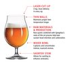 Spiegelau Beer Classics Tulip Glasses, Set of 4, European-Made Lead-Free Crystal, Modern Beer Glasses, Dishwasher Safe, Professional Quality Beer Tulip Glass Gift Set, 15.5 oz