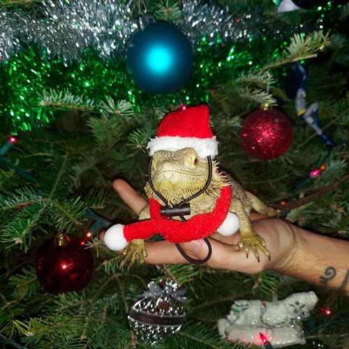 ADOGGYGO Christmas Bearded Dragon Santa Hat Scarf Lizard Leash Harness Set - Lizard Christmas Costume Christmas Scarf and Hat + 3 Pack Bearded Dragon Harness Leash for Reptile Christmas (Christmas)