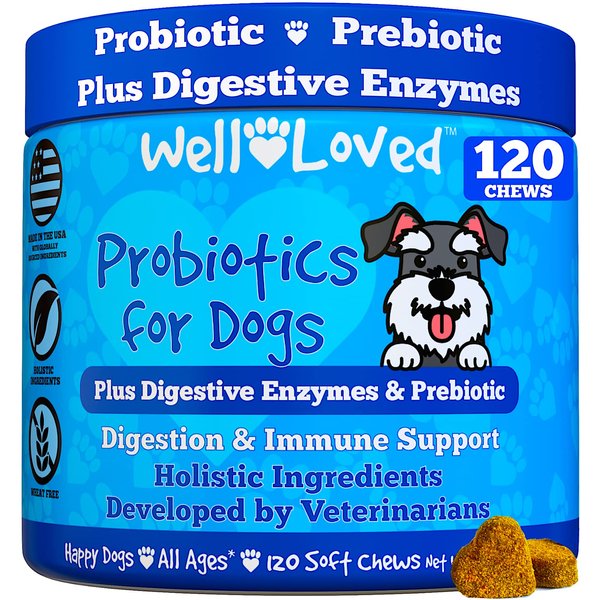 Well Loved Probiotics for Dogs, Dog Probiotics and Digestive Enzymes, Made in USA, Vet Developed, Dog Probiotic Chews with Prebiotics, Diarrhea Treatment, for Itchy Skin, Gut Health & Gas Relief