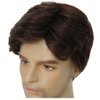 Salaibs Mens Brown Short Wigs Natural Fluffy Male Hair Wig Synthetic Heat Resistant Realistic Full Wig for Daily Use