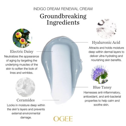 Indigo Dream Renewal Cream Face Moisturizer - Botanical Moisturizer Face Cream with Hyaluronic Acid & Ceramides - Organic Ingredients, Cruelty-Free & Made in USA