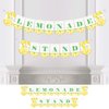 Big Dot of Happiness So Fresh - Lemon - Citrus Lemonade Party Bunting Banner - Party Decorations - Lemonade Stand
