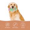 2Pcs Dog Squeaky Toys Durable Dog Plush Toys Stuffed Socks Dog Chewing Toys Bite- Resistant Cat Interactive Toys for Pet Birthday