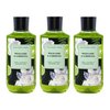 Generic Bath and Body Work Wild Lime & Gardenia Shea + Vitamin E Shower Gel Value Pack - Set of 3, Full Size, Green