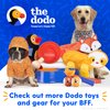 The Dodo Eco-Friendly Dental Dog Chew Toy, Peanut Butter Flavor; Bamboo Mixed Material Dog Toy, Durable and Easy to Grip Shape Dog Chewer Toy