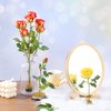 3 Pieces Flower Holder Floral Arranger Japanese Floral Pins Round Flower Arranger Floral Arrangement Holder for Flower Arrangement, Plant Fixation (Gold)