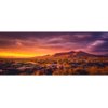 AWERT 48x18 inches Sun and Desert Terrarium Background Mountain Oasis Gobi Reptile Habitat Background Vinyl