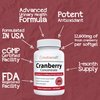 Nutracraft #1 Cranberry Extract Supplement for Bladder & Urinary Tract Support - 12,600 mg of Fresh Cranberries, Vitamin C & E and Polyphenols per Capsule - 60 Softgels