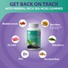 BIO VITALICA Sea Moss Gummies Elderberry BioVitalica - Vitamin C D + Zinc - Irish Seamoss Vegan Gummy with Sea Moss Gel & Powder for Immunity, Detox - for Adults and Kids
