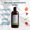 Just Nutritive Gray Hair Shampoo | Gray Hair Treatment | Just Natural Hair Care | Natural Shampoo 16 Oz