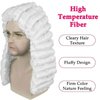 Ebingoo White Judge Wig + Glasses + Wig Cap Judge Colonial Wig Adult Judge Costume Accessories White Lawyer Wig for Men Halloween Party Costume Cosplay