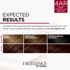 L'Oreal Paris Excellence Creme Permanent Hair Color, 4AR Dark Chocolate Brown, 100 percent Gray Coverage Hair Dye, Pack of 3