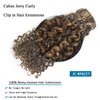 Caliee Curly Clip in Hair Extension 3B 3C Jerry Curly Full Head 20inch Real Remy Human Hair Extensions Highlight Piano Dark Brown Mixed with Strawberry Blonde JC#P4/27 7Pcs 17Clips 120G
