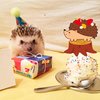 48pcs Hedgehog Cupcake Toppers for Hedgehog Birthday Party Decoration Cute Cartoon Hedgehog Theme Cupcake Picks for Woodland Party Supplies Forest Animal Baby Shower Decorations