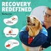 UPPYS Medium Dog Donut Collar - Inflatable Dog Cone Alternative For After Surgery Recovery. Donut Dog Cones For Medium Dogs. Inflatable Dog Collars For After Surgery Donut Cone For Dogs. Soft Cone Dog