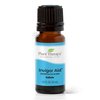 Plant Therapy Invigor Aid Essential Oil Blend 10 mL (1/3 oz) 100% Pure, Undiluted, Therapeutic Grade