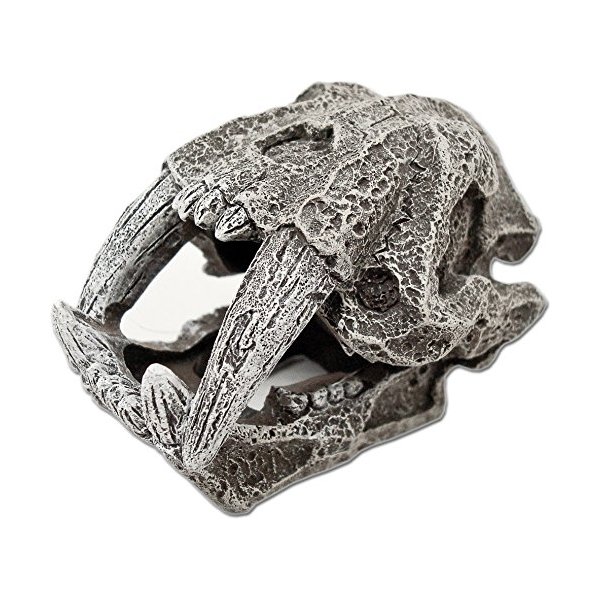 Blue Ribbon Mini Saber Tooth Skull Aquarium Ornament