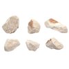 EISCO (Pack of 6) Raw Gypsum, Mineral Specimens - Approx. 1" - Geologist Selected & Hand Processed - Great for Science Classrooms - Class Pack