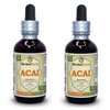 Acai (Euterpe oleracea) Tincture, Organic Berries Liquid Extract (Brand Name: HerbalTerra, Proudly Made in USA) 2x2 fl.oz (2x60 ml)