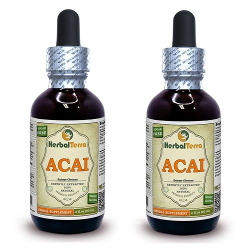 Acai (Euterpe oleracea) Tincture, Organic Berries Liquid Extract (Brand Name: HerbalTerra, Proudly Made in USA) 2x2 fl.oz (2x60 ml)