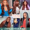Reddish Brown Lace Front Wigs Human Hair Straight 13x6 HD Lace Front Wigs Human Hair Pre Plucked 13x6 frontal Wig Copper Human Hair Wigs with Baby Hair 12A Auburn Wig for Women 180% Density 28 Inch