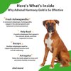 Pet Wellbeing Adrenal Harmony Gold - Vet-Formulated - for Dog Cushing's, Adrenal Health, Cortisol Balance - Natural Herbal Supplement