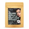 Black Henna Hair Color Dye - Organic Hair Dye Without Chemicals, PPD-free, One Step Process,100% Gray Coverage, All Natural Semi Permanent Hair Color, Safe for Sensitive Scalp,100g by Ouiloe
