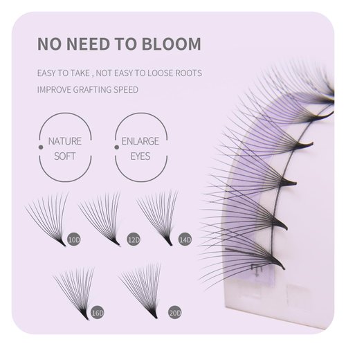 ANNAFRIS Premade Fans Eyelash Extensions 12D Thickness 0.07 D Curl 9-13mm Mix Short Stem Pointy Base Premade Volume Lash Extensions C D Curl(12D-D-0.07,9-13mm Mix)