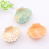 Fantasy Sea Shell Hair Clip,Acetate Hair Clip,Small Claw Clip for Women,Multicolored, 1 Count (Pack of 1)