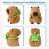 Ditucu Cute Capybara Plush with Turtle Backpack Soft Capibara Stuffed Animals Plushies Toys Hugging Gifts for Kids Brown 9 inch