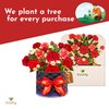 Paper Love Frndly, 3D Box of Roses Pop Up Card, For All Occasion, Mothers Day, Anniversary, Thank You, Just Because -100% Recycled and Eco-Friendly,Handmade, 10 Inch Bouquet