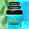 EBIN NEW YORK Melt'n Styling Gel Eucalyptus Oil and Vitamin E 16oz - Strong Hold Styling, Hydrates and Moisturize, Gives High Shine and Refreshing and Cooling Sensation, No Frizz or Brekage