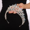 JWICOS Wedding Crowns for Women Tiaras and Crowns for Bride Birthday Crowns for Girls Princess Crowns and Tiaras for Party Prom Costume (Blue)