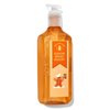 Bath Body Ginger Bread Bakery Cleansing Gel Hand Soap | 8 Fl Oz | Scented with Natural Essential Oils