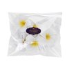 Women's Hawaiian Plumeria Flower Hair Clip Wedding Bridal Hairpin Barrette Hair Accessories - 10 Pieces