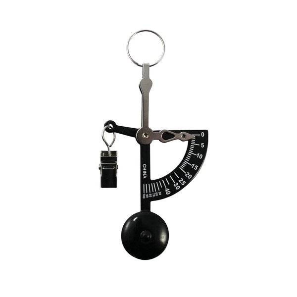 Manual Letter Postage or Kitchen Scale 100g x 1g, Mechanical Scale (Black), AMWHAND-BLK - AMERICAN WEIGH SCALES