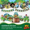 Treasures Gifted Officially Licensed Wild Kratts Birthday Party Supplies - 24 Pack Wild Kratts Balloons Latex - Wild Kratts Birthday Decoration - 12in Happy Birthday Balloons Orange, Green & White