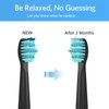 Toothbrush Heads for FairyWill, Replacement Brush Heads for Fairy Will, Electric Toothbrush Replacement Heads for Fairywill FW-507/508/551/515/917/959, FW-D1/D3/D7/D8