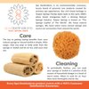 100% Natural Sea Sponge 5-6" by Spa Destinations"Creating The In Home Spa Experience" For the Perfect Bath or Shower Experience. …