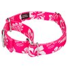 Country Brook Petz - Pink Hawaiian Martingale Dog Collar and Leash - Hawaiian Collection with 7 Tropical Designs (5/8 Inch, Small)