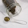 Loose Leaf Tea Spoon Measure | One Cup of Perfect Tea | Stainless Steel Scoop | Premium High Polish Finish